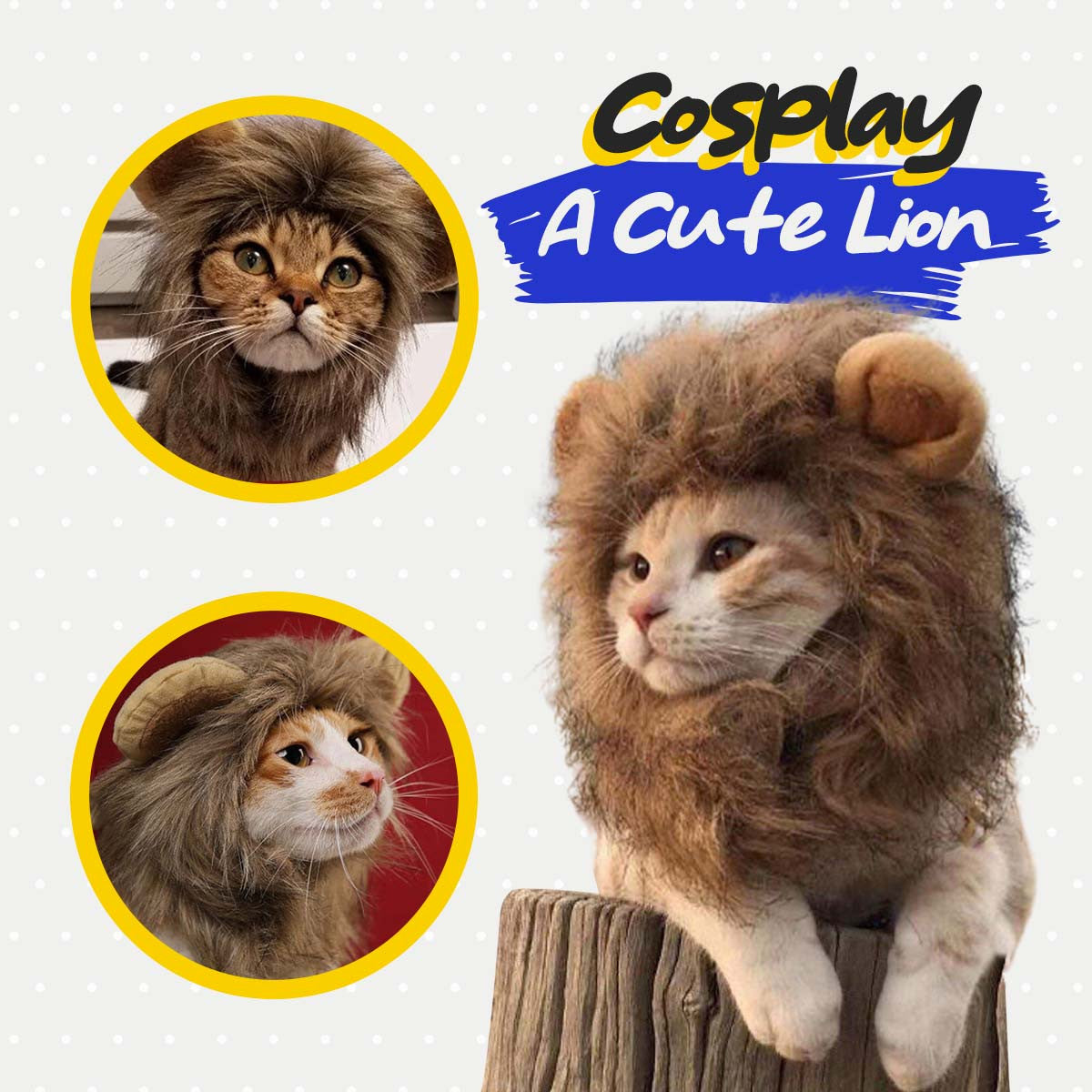 Cat Lion Mane