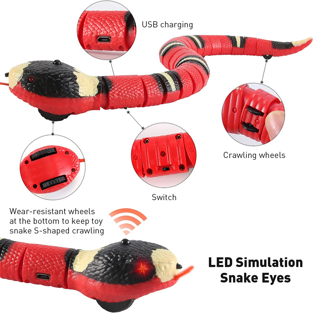 Interactive Snake Cat Toy