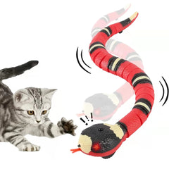 Interactive Snake Cat Toy